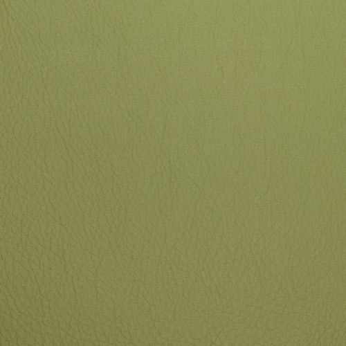 Symphony Classic - Scallion