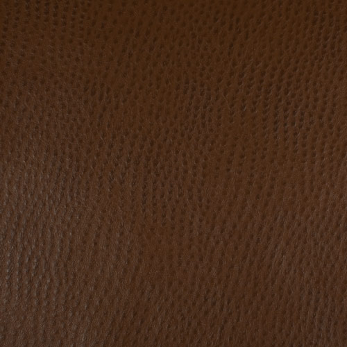 Phoenix - Outback