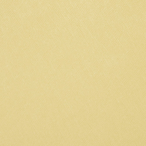 Savanna - Vanilla